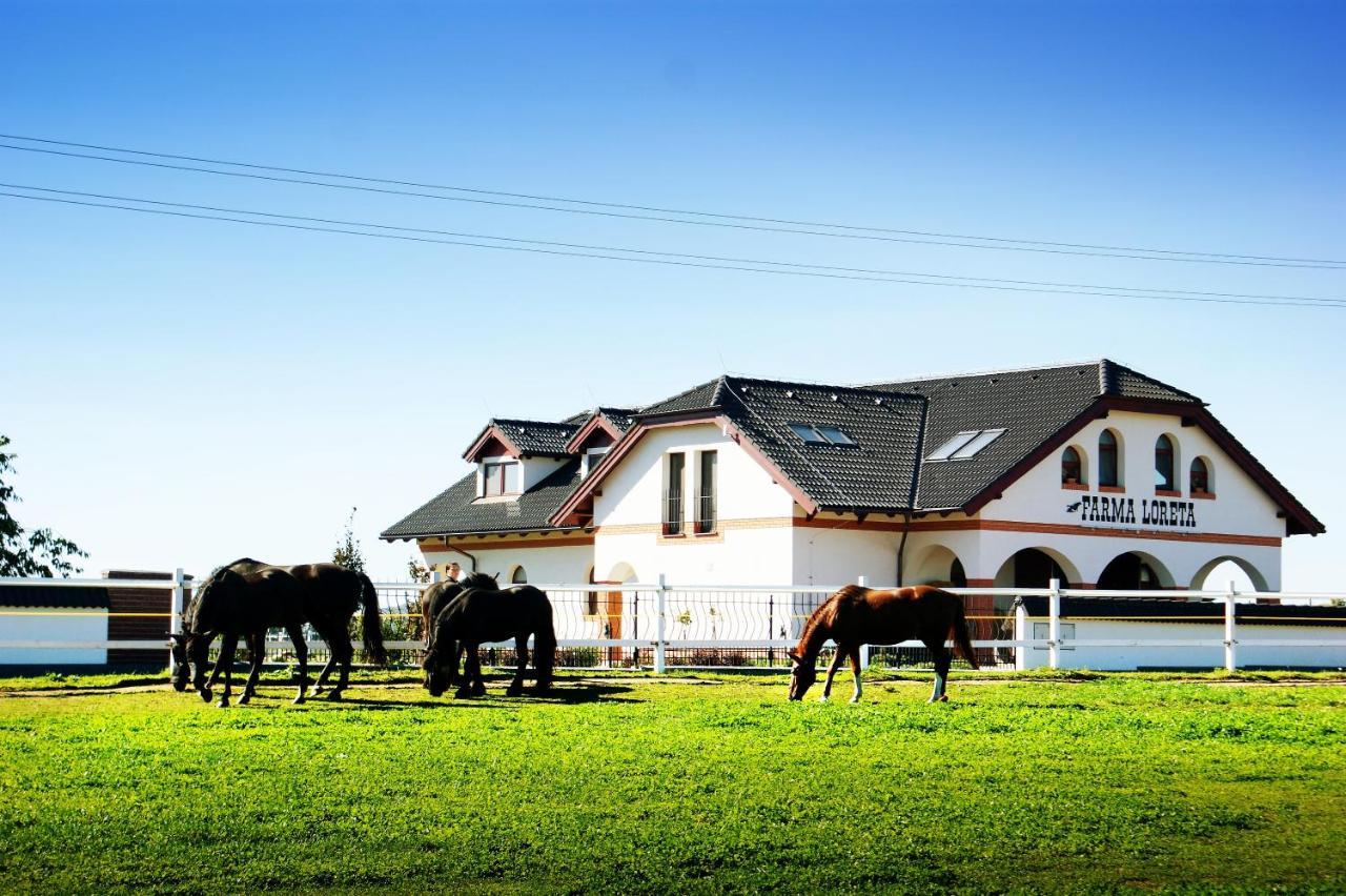 Villa Farma Loreta Vlašim Exterior foto